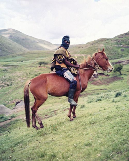 SUENA EL TAM TAM: LOS VAQUEROS DE AFRICA: LA FASCINANTE HISTORIA DE LOS JINETES BASOTHO